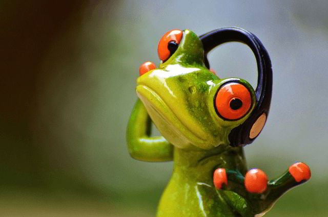 Screaming Frog: cos’è e come funziona